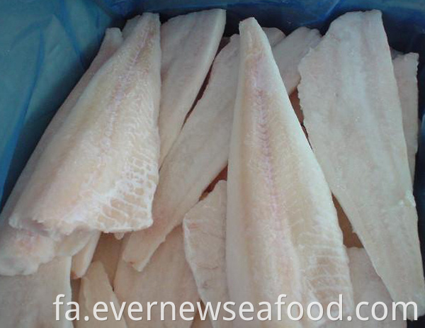 فیله ماهی کاد منجمد